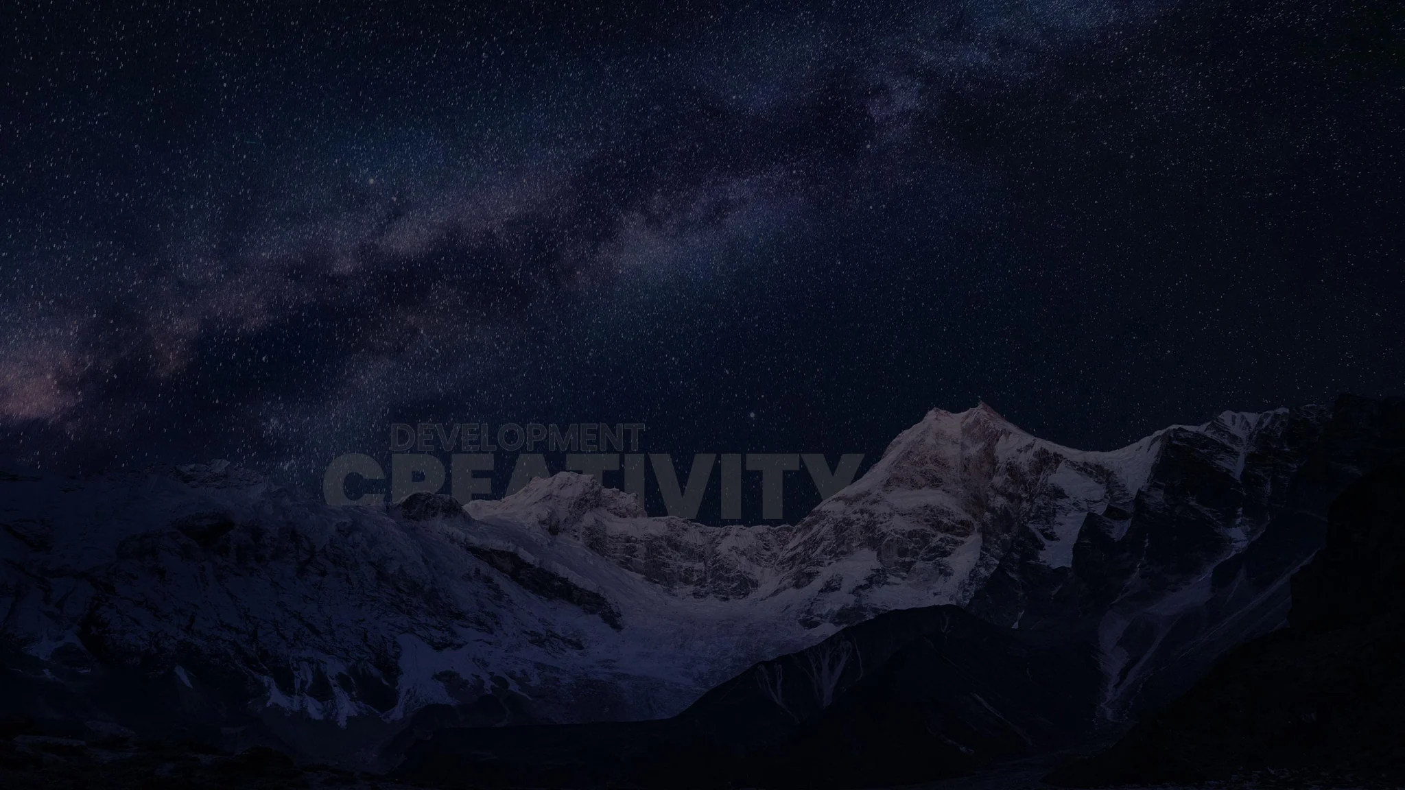 ProVision web agency